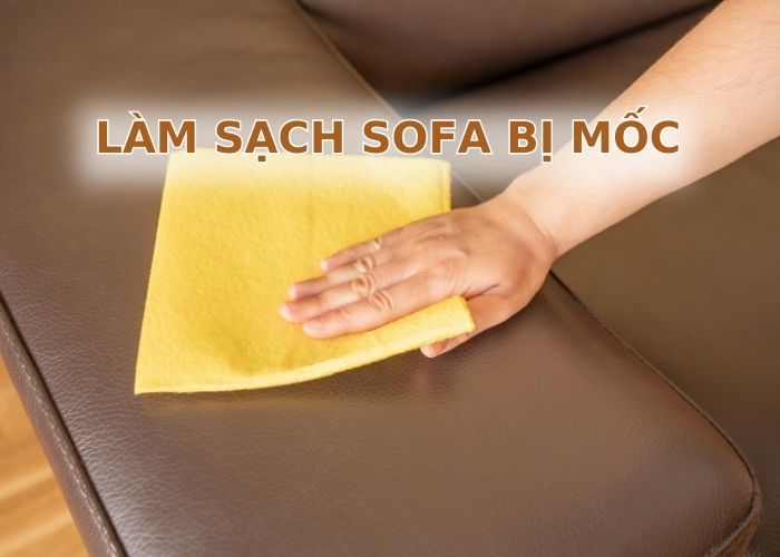 Cách làm sạch sofa da bị mốc dễ dàng, nhanh chóng ngay tại nhà