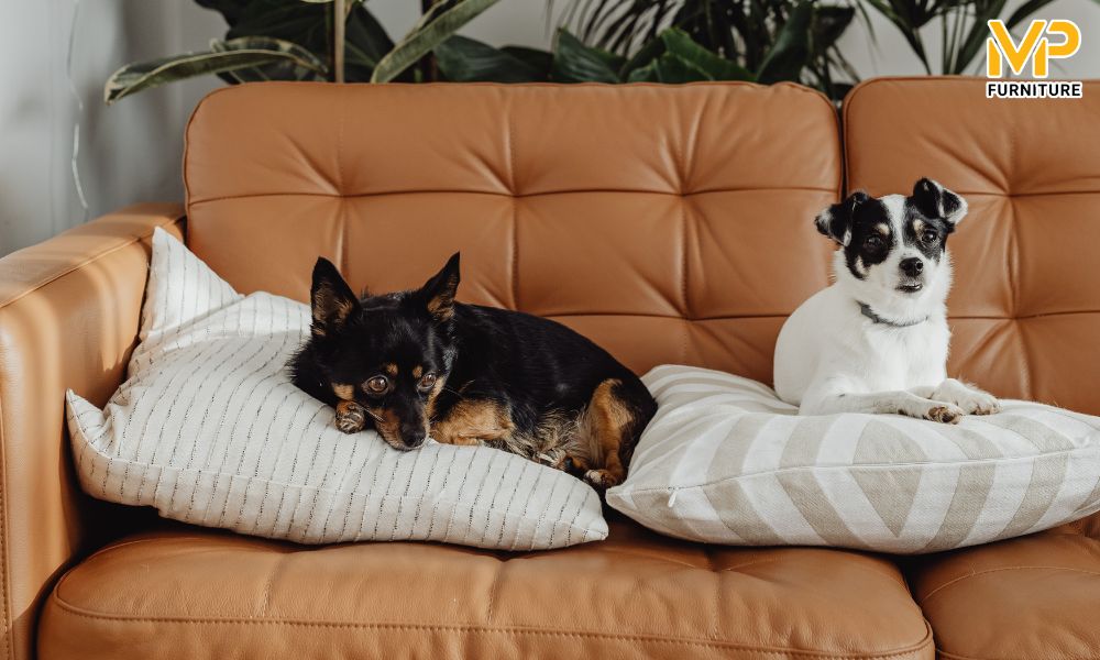 Sofa kháng khuẩn 
