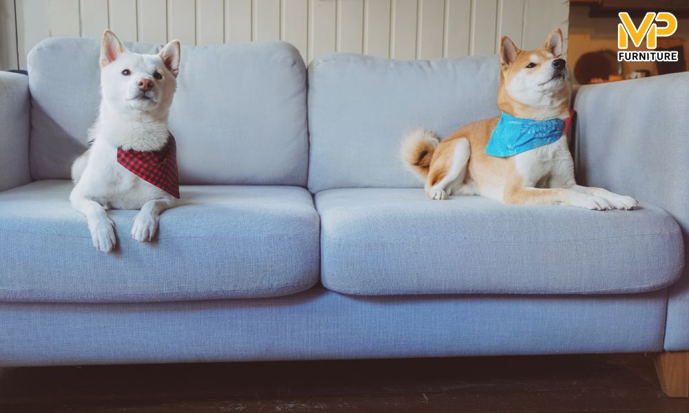 Sofa có bọc ghế dễ tháo rời 