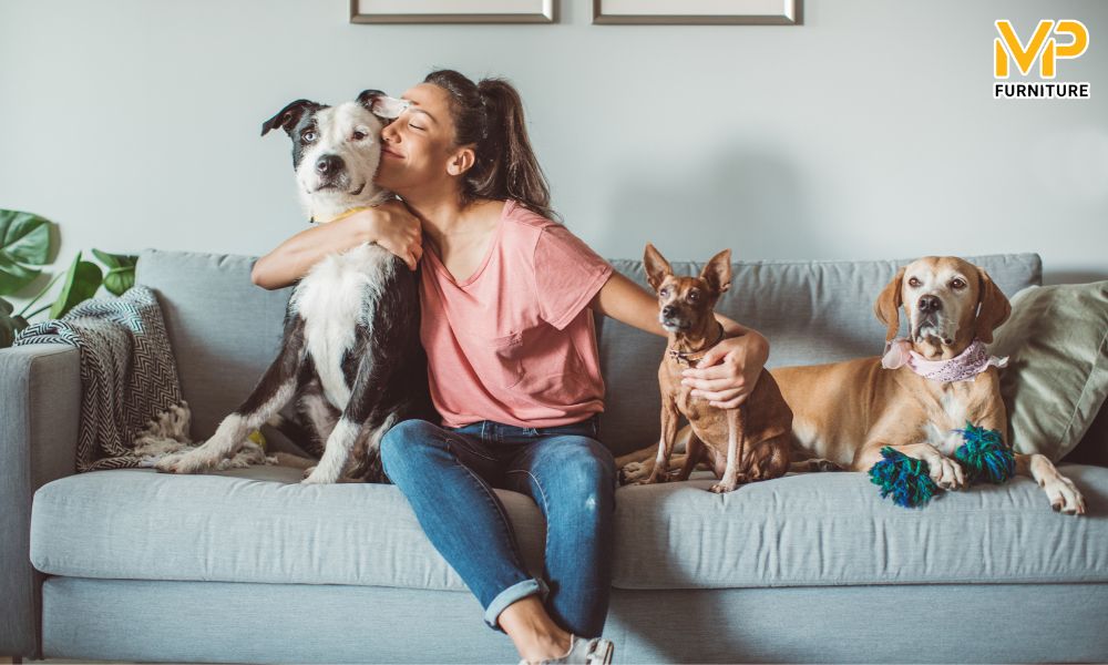 Lưu ý khi chọn mua sofa