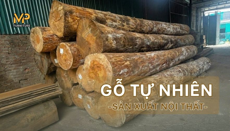 Gỗ tự nhiên là gì? Có bao nhiêu loại trong sản xuất nội thất?